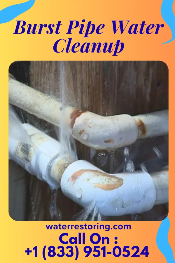 Burst Pipe Water Cleanup in Powell, WY
