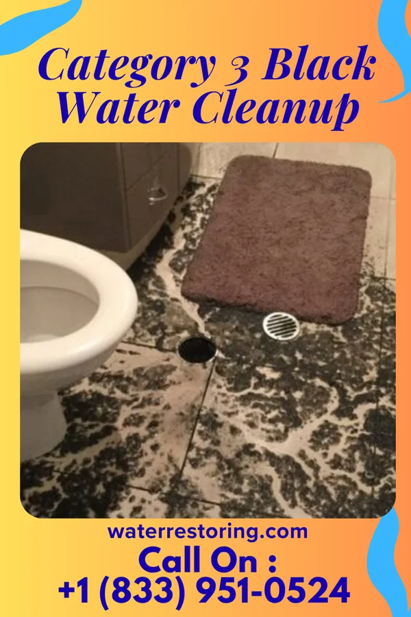 Category 3 Black Water Cleanup in Powell, WY