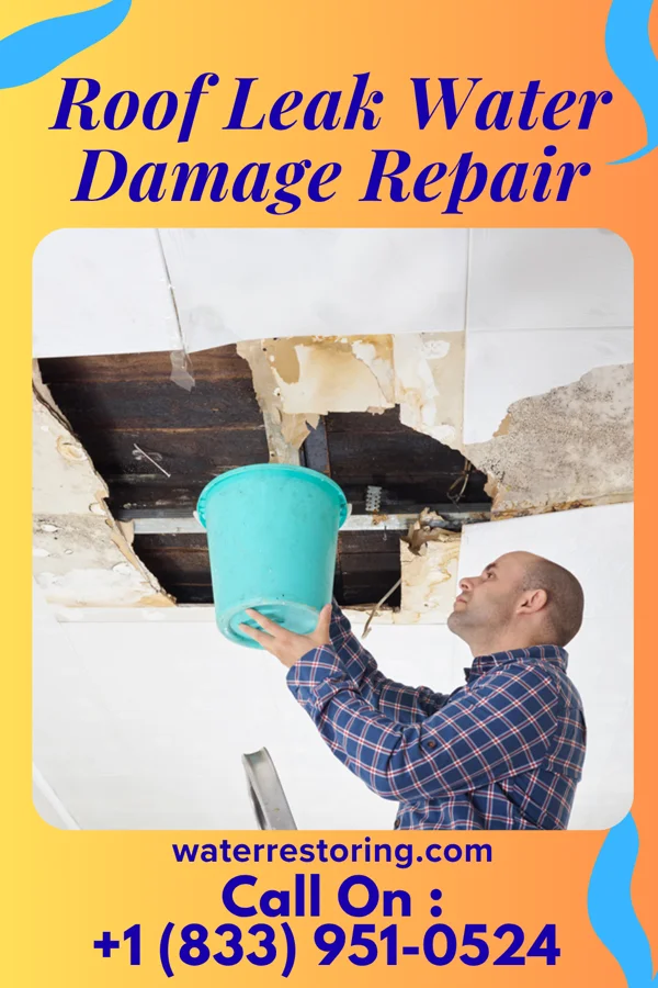Roof Leak Water Damage Repair in Powell, WY
