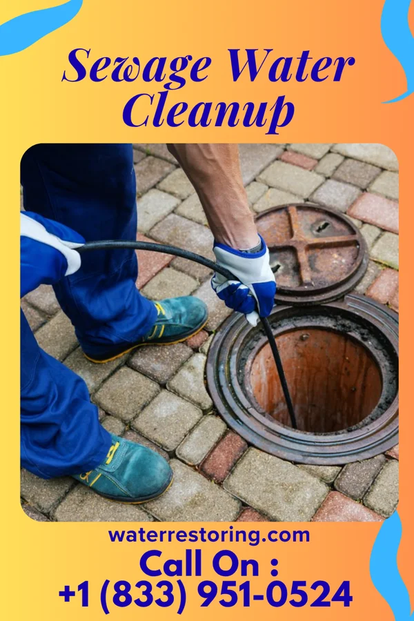 Sewage Water Cleanup in Powell, WY
